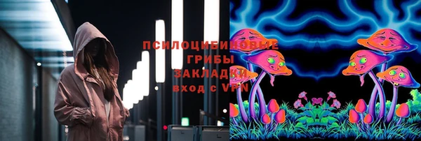 крисы Горнозаводск