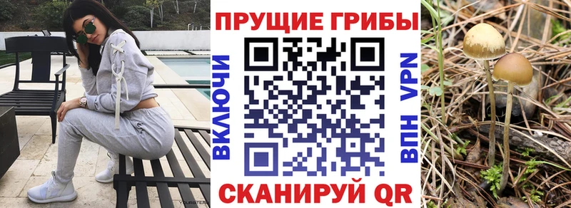 Псилоцибиновые грибы GOLDEN TEACHER Купить где Железноводск